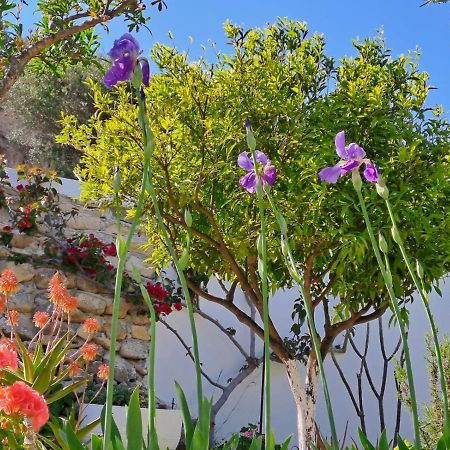 Arhondia House Villa Ierápetra Eksteriør billede