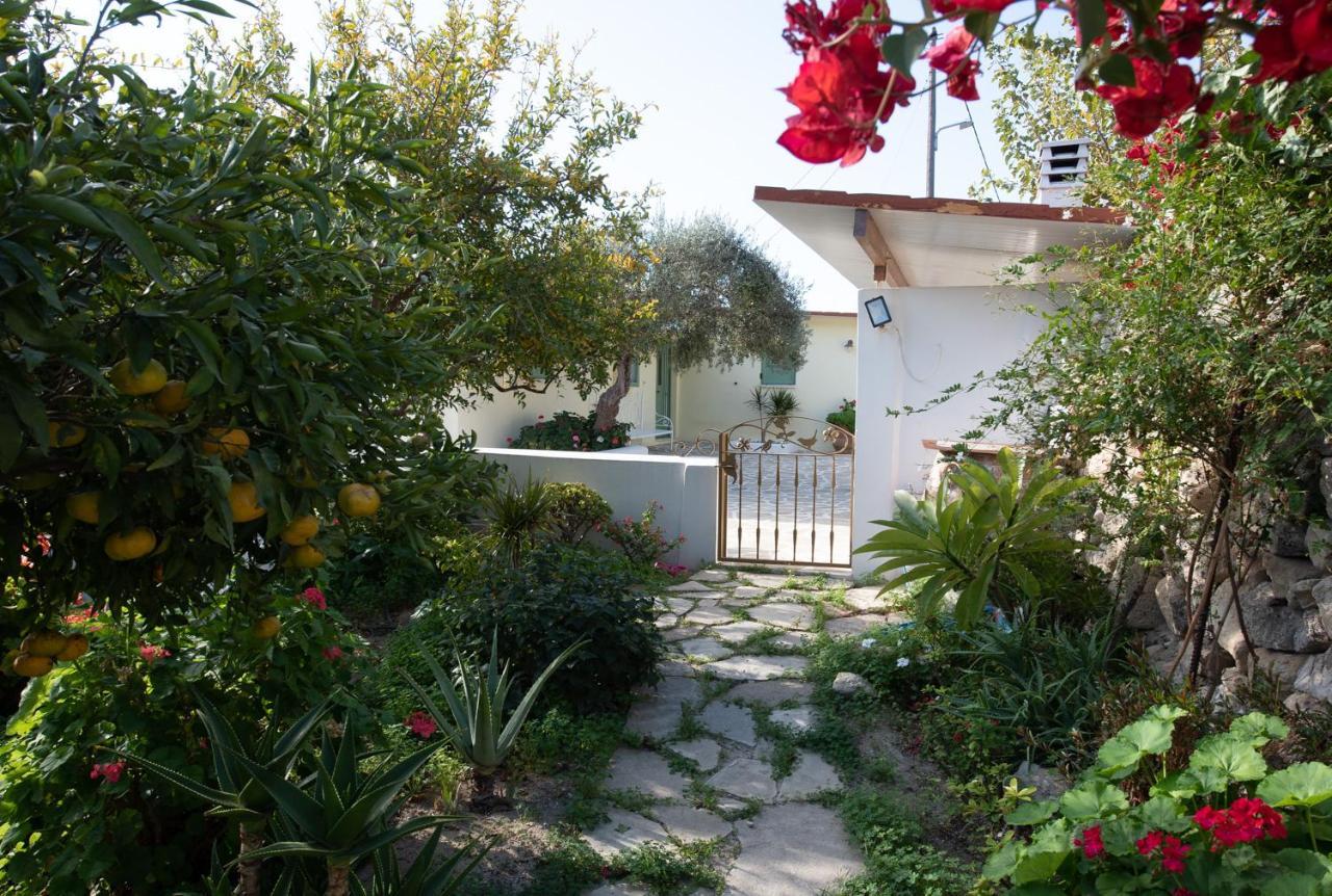 Arhondia House Villa Ierápetra Eksteriør billede