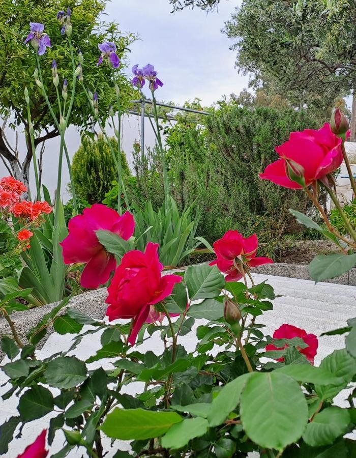 Arhondia House Villa Ierápetra Eksteriør billede