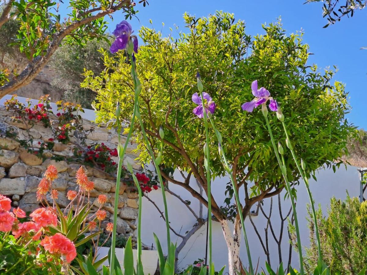 Arhondia House Villa Ierápetra Eksteriør billede